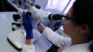 Inaugurato il supermicroscopio Speqtem per la ricerca del futuro