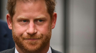 Los pr&iacute;ncipes Enrique y Andr&eacute;s no tendr&aacute;n ning&uacute;n papel oficial en la coronaci&oacute;n