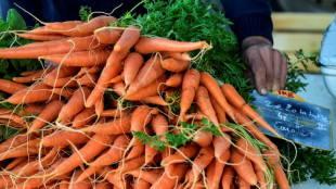 Umsatz mit Bio-Lebensmitteln auf Rekordhoch - Nachfrage h&ouml;her als heimisches Angebot