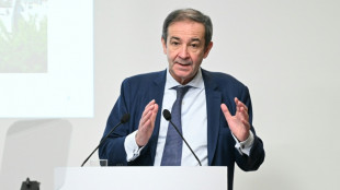 Consommation en panne, baisse des prix de l'&eacute;lectricit&eacute;: EDF entame une ann&eacute;e 2026 de d&eacute;fis