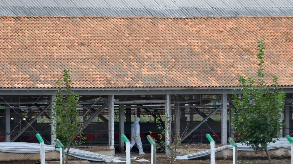 El zool&oacute;gico de Brasilia cierra temporalmente por sospecha de gripe aviar