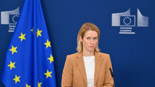 EU-Au&szlig;enminister beraten &uuml;ber Eskalation zwischen Israel und dem Iran