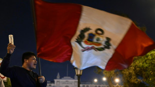 P&eacute;rou: deux morts lors des manifestations contre la nouvelle pr&eacute;sidente