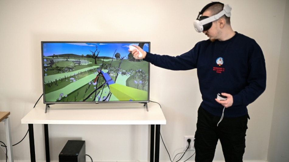 Viticultores franceses usam &oacute;culos de realidade virtual para aprender a podar