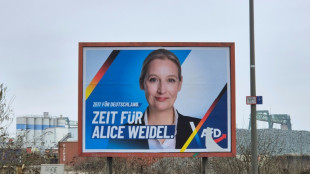 "Spiegel": Bundestagsverwaltung prüft Parteispende für die AfD