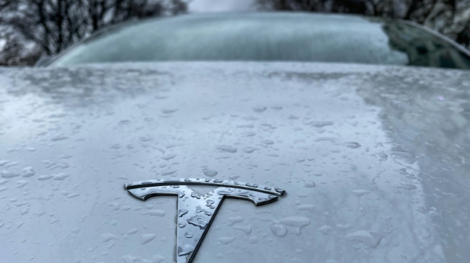 Tesla erh&auml;lt endg&uuml;ltige Genehmigung f&uuml;r Werk in Brandenburg