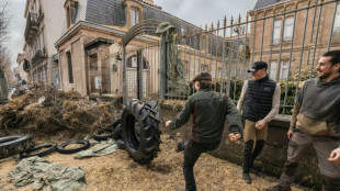 Rinder-Virus: Französische Bauern protestieren gegen das Keulen von Herden