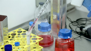 Parkinson, nanocorpi ripristinano un enzima chiave per i neuroni