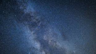 Stelle senza et&agrave;, dovrebbero essere antichissime ma sembrano giovani