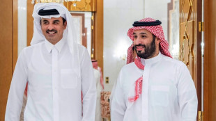 L&iacute;deres &aacute;rabes e mu&ccedil;ulmanos repreendem Israel em c&uacute;pula sobre conflito em Gaza