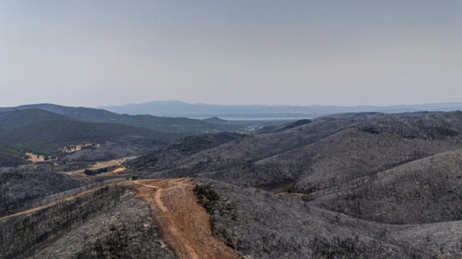 Waldbrände wüten weiter in Griechenland und Frankreich