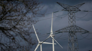 Electricit&eacute;: le risque sur la s&eacute;curit&eacute; d'approvisionnement sera "faible" cet hiver, selon RTE