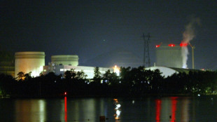 Unternehmen pr&uuml;ft Bau von erstem Atomreaktor in Japan seit Fukushima