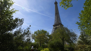Paris: la mairie s'engage &agrave; ne pas abattre d'arbres au pied de la Tour Eiffel