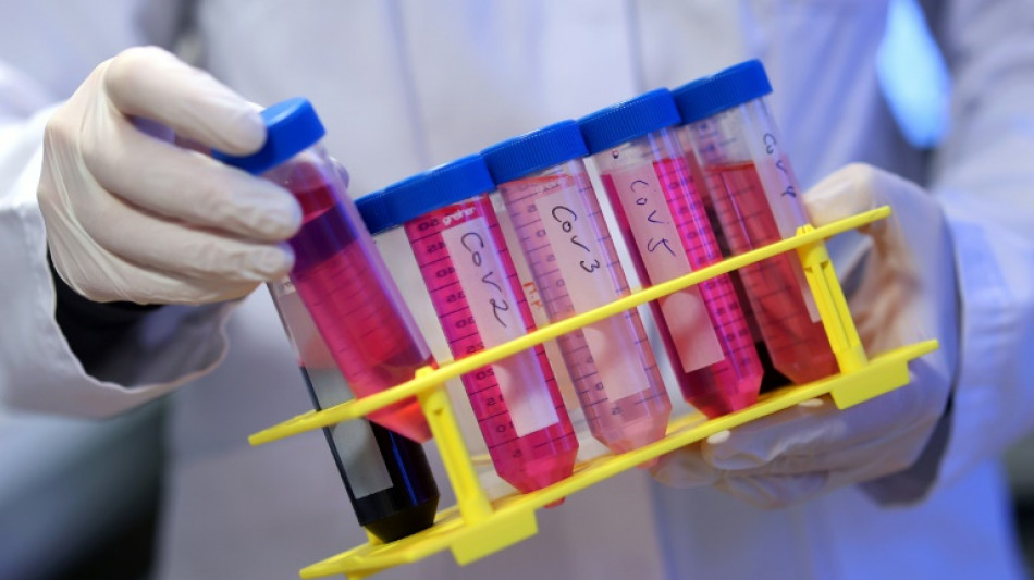 Sur la piste de l'intrigant Covid long, les chercheurs progressent