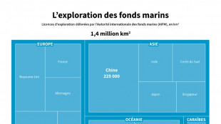 The Metals Company, l'entreprise qui courtise Donald Trump pour exploiter les fonds marins