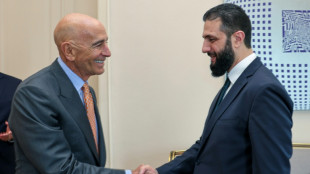 Syria to help locate missing Americans: US envoy