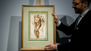 Un dibujo in&eacute;dito de Miguel &Aacute;ngel estimado en 32,7 millones de d&oacute;lares en subasta
