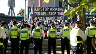 Hunderte pro-pal&auml;stinensische Demonstranten bei britischer R&uuml;stungsmesse