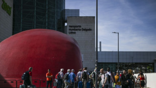 Madrid y Lisboa piden reforzar urgentemente las interconexiones el&eacute;ctricas con Francia tras el apag&oacute;n ib&eacute;rico