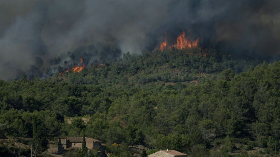 Feuerwehr in S&uuml;dfrankreich k&auml;mpft weiter gegen schweren Waldbrand 