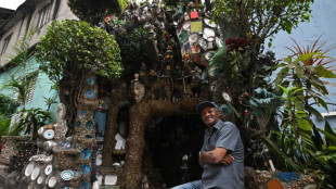 Un ch&acirc;teau dans la favela, l'oeuvre inachev&eacute;e du "Gaud&iacute; br&eacute;silien"
