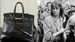 Another original Hermes Birkin bag sells for $2.86 mn