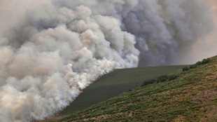 Les incendies ont déjà ravagé 343.000 hectares en 2025 en Espagne, un nouveau record