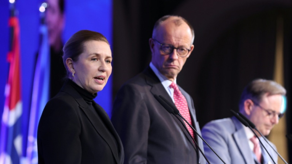 Nordsee-Staaten wollen Windenergie ausbauen - Merz sieht aber nur "&Uuml;bergangstechnologie"