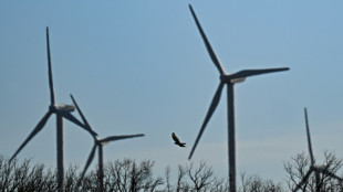 Oiseaux protégés: la justice ordonne l'arrêt temporaire du parc éolien d'Aumelas dans l'Hérault