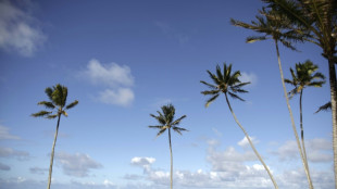 Studie: Unter Hawaiis Str&auml;nden verbirgt sich jede Menge Plastikm&uuml;ll