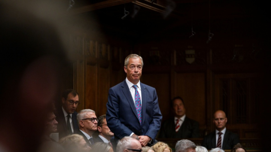 L&iacute;der de partido anti-imigra&ccedil;&atilde;o brit&acirc;nico renuncia para for&ccedil;ar elei&ccedil;&atilde;o parcial