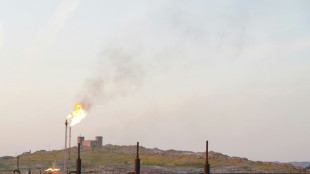 Accord entre l'Irak et le g&eacute;ant p&eacute;trolier BP pour d&eacute;velopper des champs p&eacute;troliers