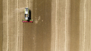 Loi d'urgence agricole: les parlementaires en qu&ecirc;te d'un p&eacute;rilleux compromis