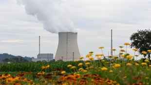 Ha&szlig;elmann erwartet schwierige Gespr&auml;che &uuml;ber Verl&auml;ngerung von Akw-Laufzeiten