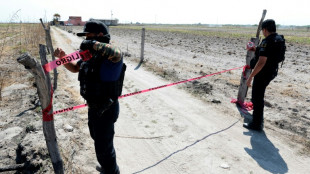 Mexique: de nouveaux ossements d&eacute;couverts dans de pr&eacute;sum&eacute;s cr&eacute;matoires clandestins