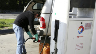 Embargo sur le p&eacute;trole russe: "il y a ce qu'il faut" en essence en France, assure Pompili