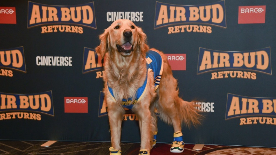 IA n&atilde;o pode substituir animais atores, diz diretor de filme com um cachorro como her&oacute;i