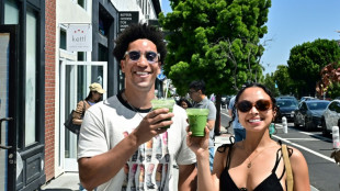 Matcha : le Japon submerg&eacute; par le succ&egrave;s mondial de son or vert