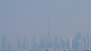 Oil-rich UAE orders emissions monitoring in new climate law