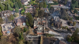 Royaume-Uni: face &agrave; des incendies in&eacute;dits, le Premier ministre appelle &agrave; "faire face" au changement climatique