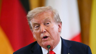 Trump visita a polic&iacute;as y tropas desplegadas en la capital de EEUU 