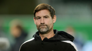 Fürth: Kleine freigestellt - Vogel übernimmt