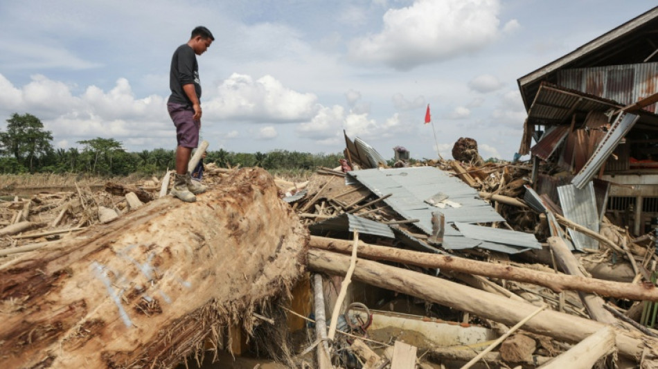 Las inundaciones en Indonesia amenazan unos orangutanes al borde de la extinción