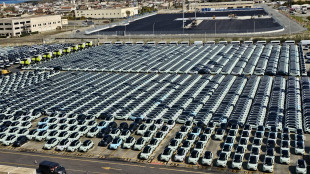 Stellantis, crescono Fiat e Leapmotor, la Pandina la pi&ugrave; venduta