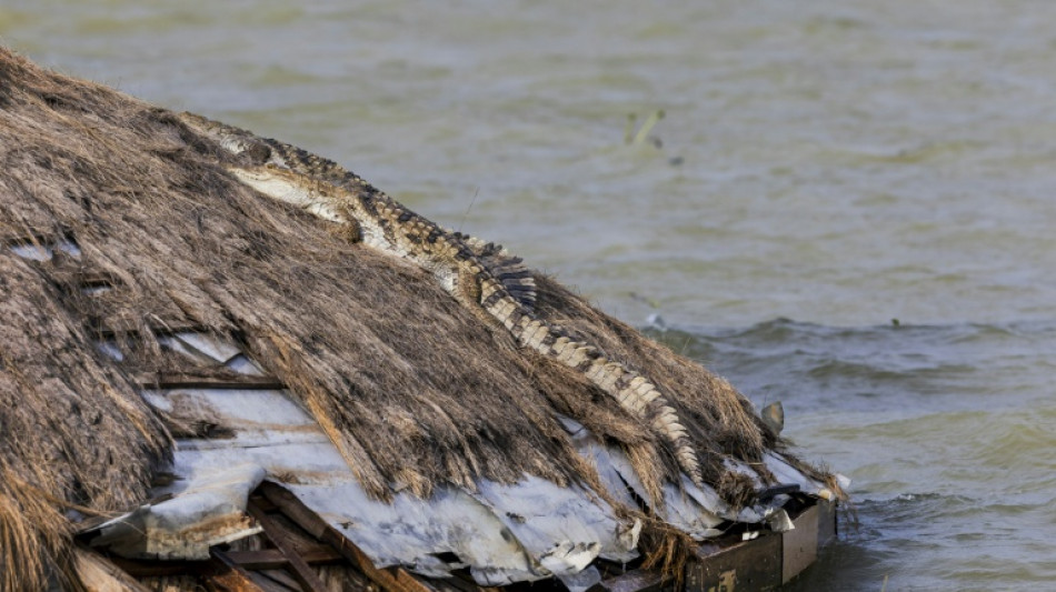 Subida del agua en lagos en Kenia lleva a cocodrilos m&aacute;s cerca de los hogares