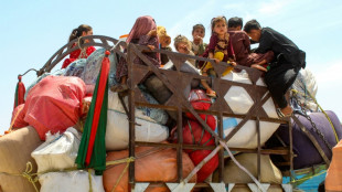 Nearly 60,000 Afghans return from Pakistan in two weeks: IOM