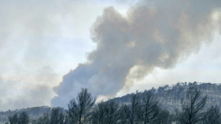 Un muerto y nueve heridos en un gran incendio forestal en Francia