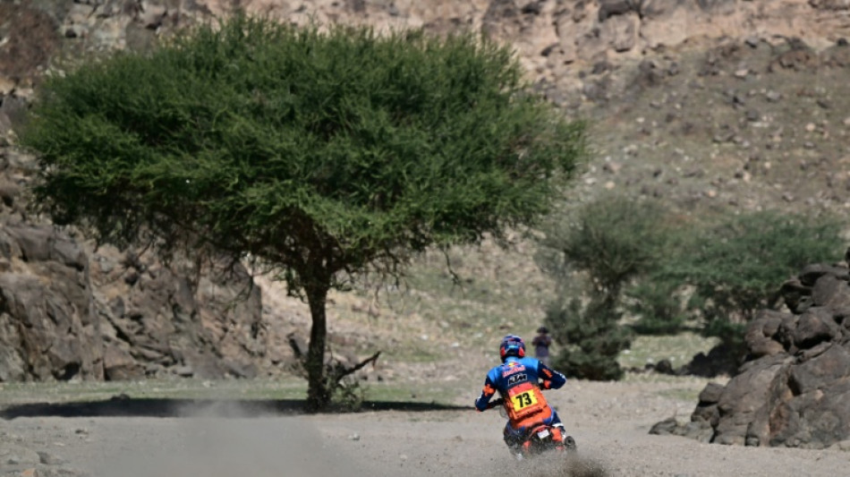 Bike rookie Canet enjoys dream Dakar start