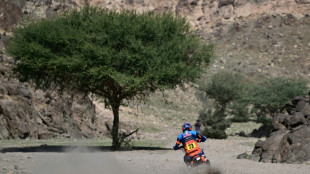 Bike rookie Canet enjoys dream Dakar start